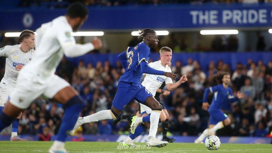 期就展现了 期就展现了